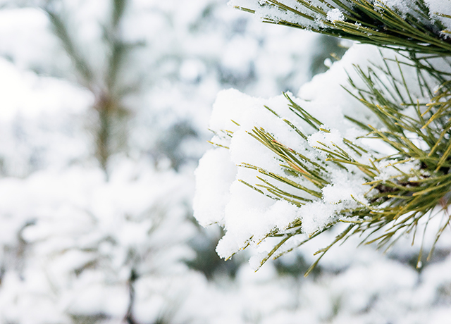 冬天、下雪、寒冷-康興醫(yī)療器械官網(wǎng)
