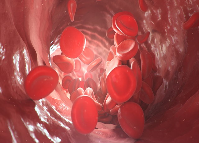 血液、身體、健康-康興醫(yī)療器械官網(wǎng)